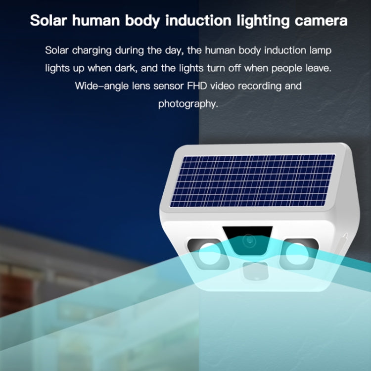 HS2180 Solar Garden Lamp with Night Vision Monitoring Function