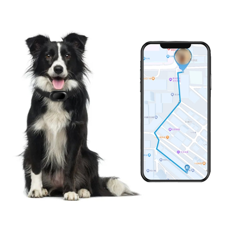 V41 Smart GPS Tracker IP67 Waterproof Pet Anti-loss Positioner, 2G Version, 4G Version-A, 4G Version-B