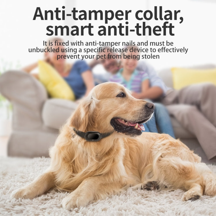 V41 Smart GPS Tracker IP67 Waterproof Pet Anti-loss Positioner, 2G Version, 4G Version-A, 4G Version-B