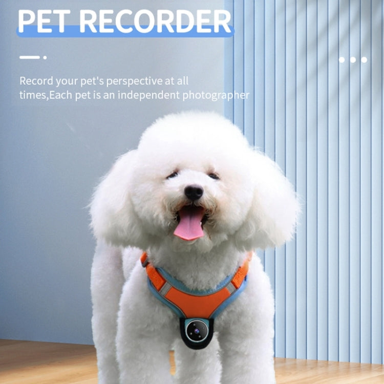 A9 Pet Recorder Tracking Playback IPX6 Waterproof