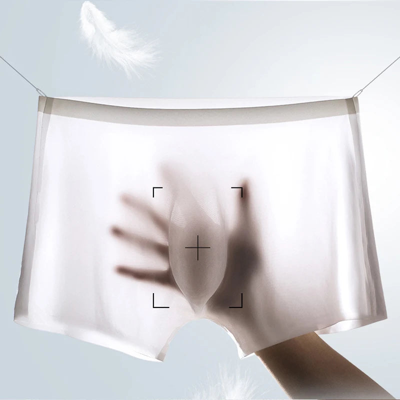 2 Pcs/Lot Men's Ultra-thin Panties Summer Ice Silk Boxers Briefs Underwear Lingerie Shorts Breathable Sexy Seamless Underpants