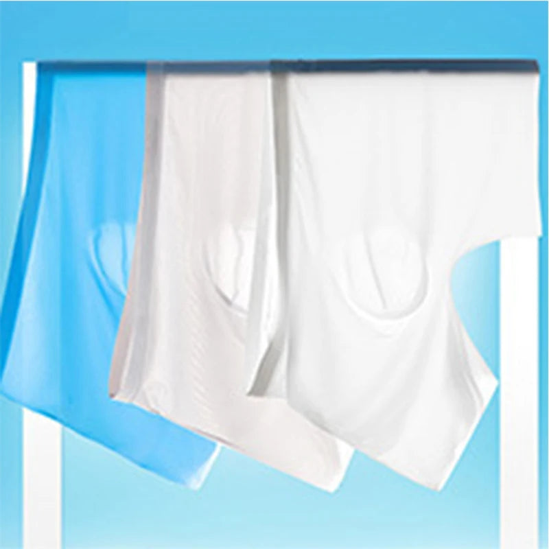 2 Pcs/Lot Men's Ultra-thin Panties Summer Ice Silk Boxers Briefs Underwear Lingerie Shorts Breathable Sexy Seamless Underpants