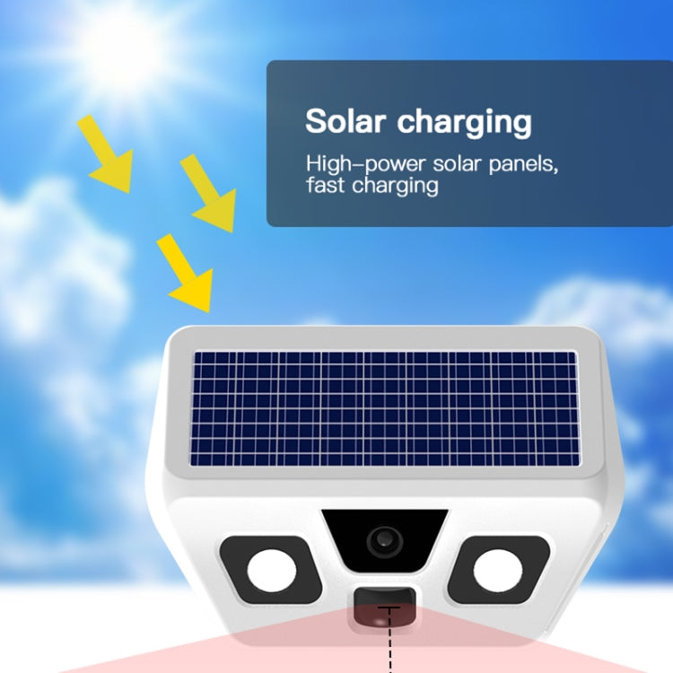 HS2180 Solar Garden Lamp with Night Vision Monitoring Function