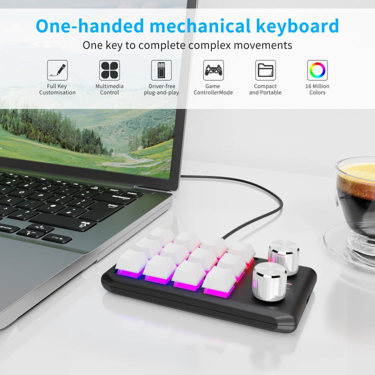 12 Keys Wired With RGB Lights Customized Office Keyboard Shortcut Keys Computer Audio Volume Control, 12 Keys+2 Knobs